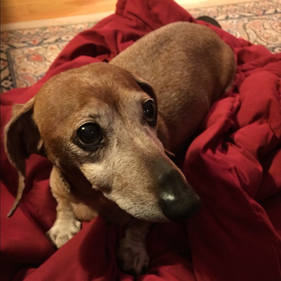 Meet your Posher, Alice - Picture 2 of 8